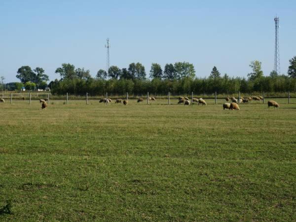 Domek Na Wsi-Agroturystyka Czyze Esterno foto