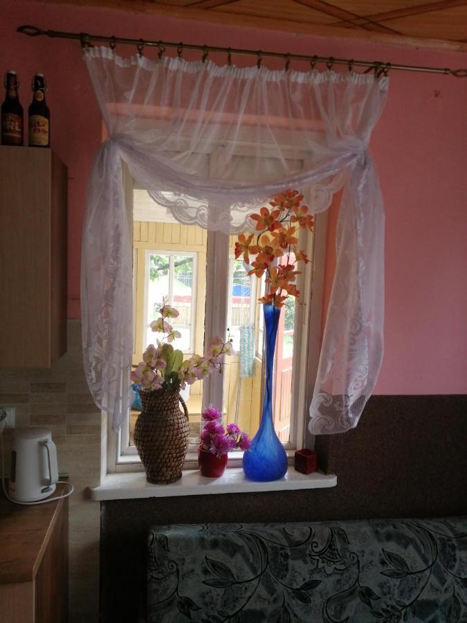 Domek Na Wsi-Agroturystyka Czyze Esterno foto